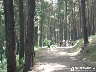 Entre el Puerto y Chorro de Navafría;excursiones programadas grupo montaña  senderismo en la pedri